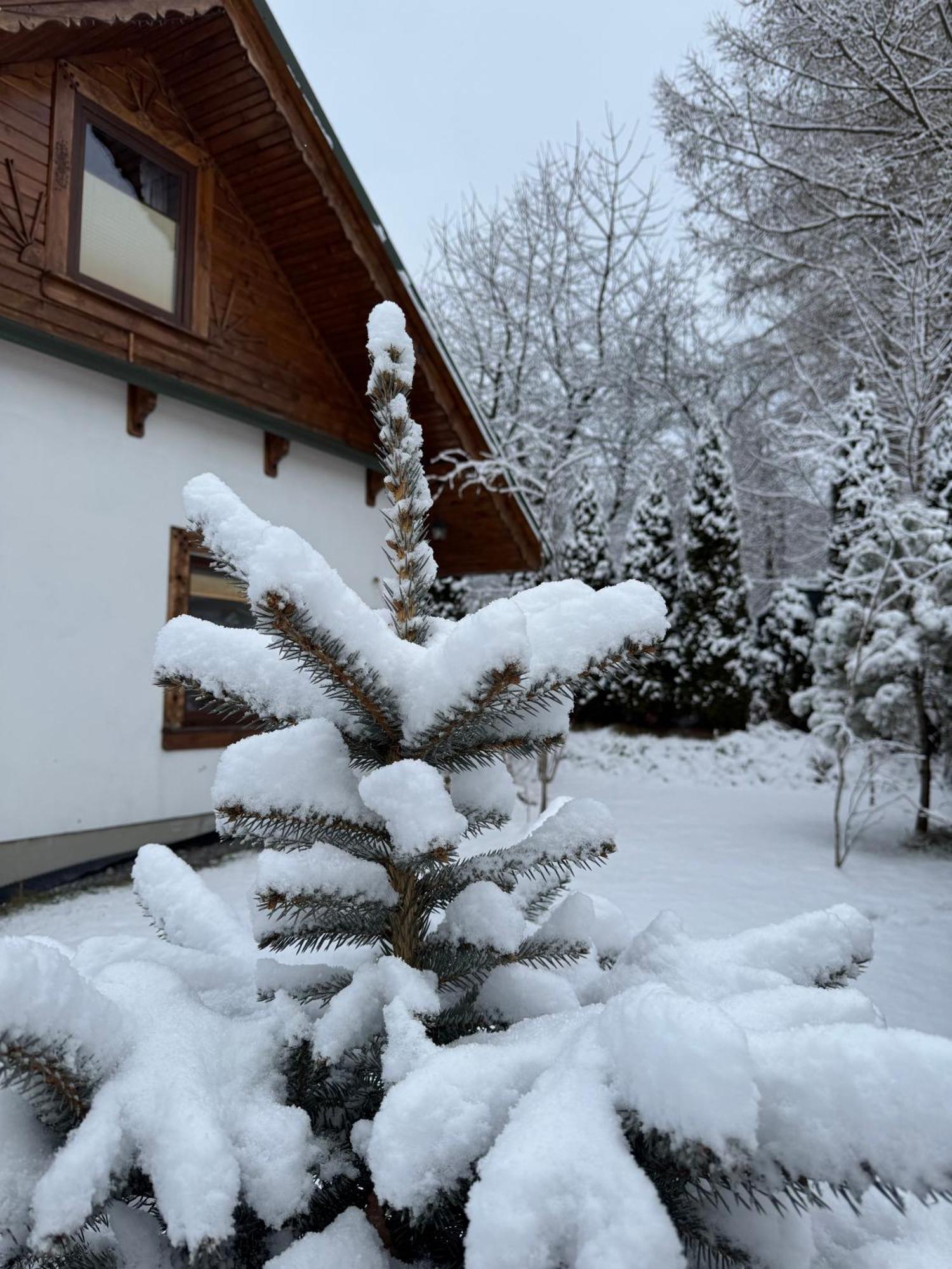 Chalet Na Szlaku - Do Wynajecia Rabka